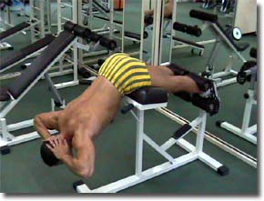 Fitness - Figura 35 - Iperestensioni Lombari