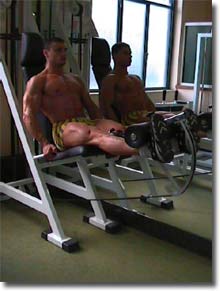 Fitness - Figura 33 - Leg Extension