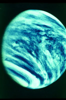 Venere