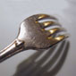 Logo Cucina