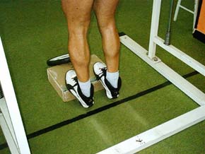 Fitness - Figura 102 - Calf in Piedi al Multipower